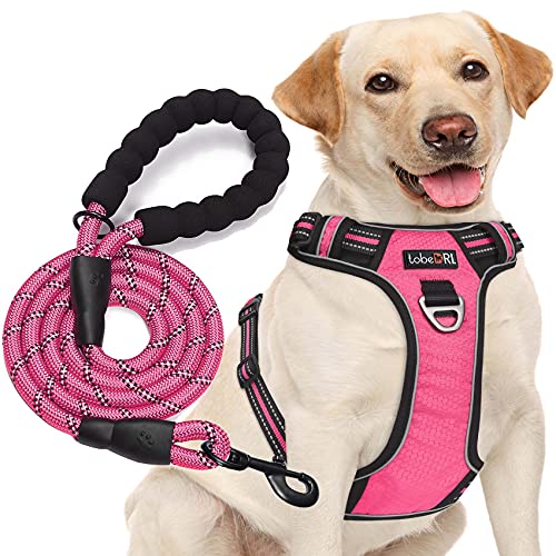 tobeDRI No Pull Dog Harness Adjustable Reflective Oxford Easy Control Medium Large Dog Harness with A Free Heavy Duty 5ft Dog Leash, Pink, M - color: Pink, size: Medium