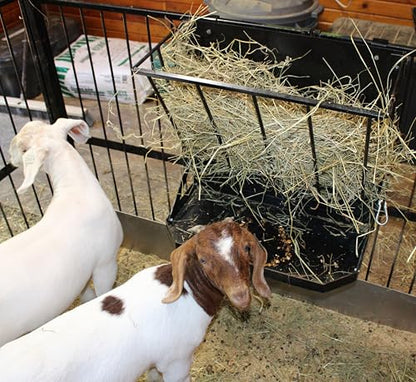 Premium Wall-Mount Metal Hay Feeder for Goats and Sheep - Essential Goat Supplies and Accessories for Barns, Pens, and Livestock Shelters.
