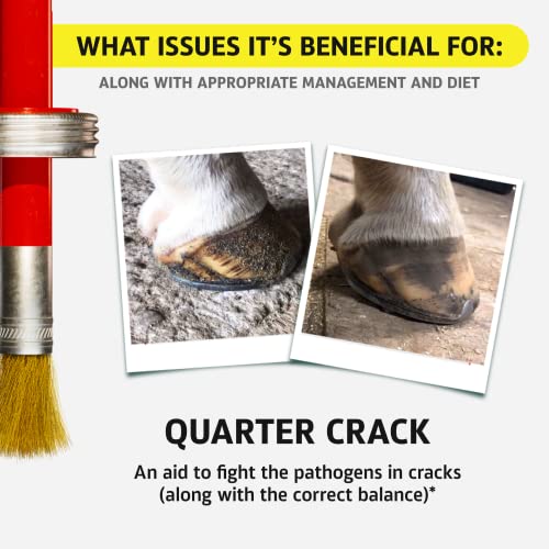 Equine One Natural Hoof Dressing - 100% All-Natural Hoof Care Product - Abscesses || Thrush || White Line || Quarter Crack (16 fl.oz) - size: 16 fl.oz