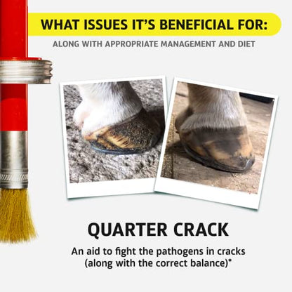 Equine One Natural Hoof Dressing - 100% All-Natural Hoof Care Product - Abscesses || Thrush || White Line || Quarter Crack (16 fl.oz) - size: 16 fl.oz