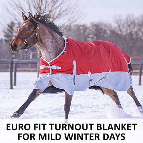 Dura-Tech Viking Horse Turnout Sheet | Open Front with 2 Buckle | Waterproof, Windproof & Breathable Blanket | Criss-Cross Surcingle | Winter Horse Blanket - size: Horse Size 78, style: Medium Weight (220 gm)