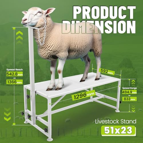 Kojem Sheep Livestock Stand 51x23, Goat Milking Stand, Trimming Stand for