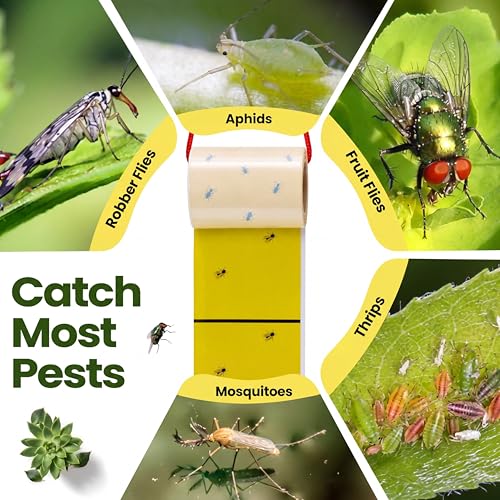 Qualirey 30 Pcs Giant Sticky Fly Traps, Fly Strips for Indoor Outdoor Hanging Flying Tapes Non Toxic Ribbon Fruit Gnat Killer for Mosquito Plants House Horse Stable