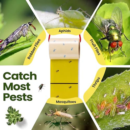 Qualirey 30 Pcs Giant Sticky Fly Traps, Fly Strips for Indoor Outdoor Hanging Flying Tapes Non Toxic Ribbon Fruit Gnat Killer for Mosquito Plants House Horse Stable