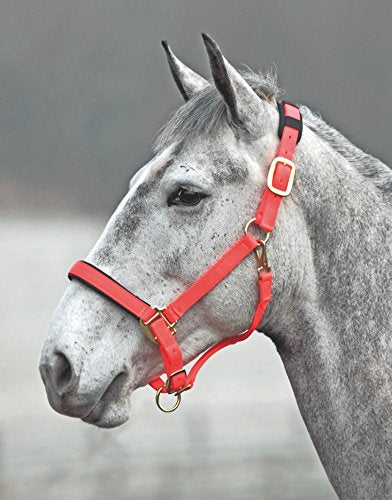 Shires Topaz Leather Breakaway Nylon Headcollar - color: Orange, size: X-Small Pony