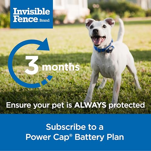 Invisible Fence Brand Power Cap Battery, 1-Pack - style: 1 Pack