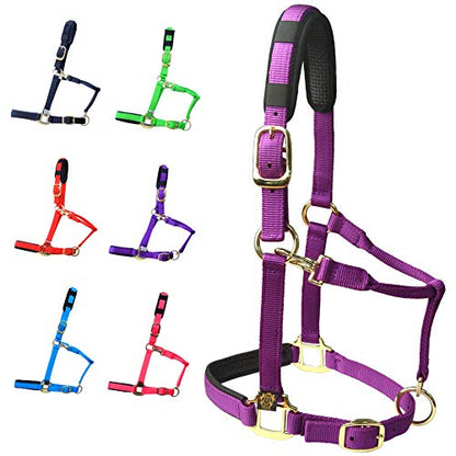 T TEKE Adjustable Horse Halters by Heavy Duty Soft Nylon, Padded with Anti-rubbing Waffle Neoprene on Both Crown & Nose - color: Purple, size: XXS Pony