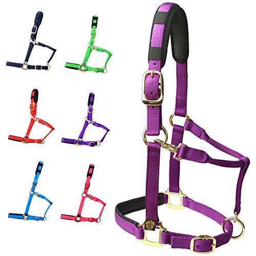 T TEKE Adjustable Horse Halters by Heavy Duty Soft Nylon, Padded with Anti-rubbing Waffle Neoprene on Both Crown & Nose - color: Purple, size: Full (L)
