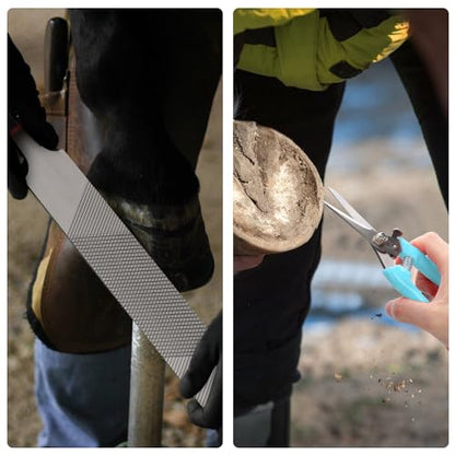 PEUTIER 3pcs Goat Hoof Trimmers and File, Nail Clippers for Goats Hoof Nippers Curved/Straight Head Sheep Hoof Trimming Shears Hoof Rasp Horseshoe File for Goat Sheep Lamb Pig Animal Hooves (Blue)