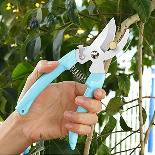 Premium Garden Shears, Pruning Scissors Gardening Tools, Pruners For Flower, Bushes, Rose And Fruit Tree, Use For Florist, Yard And Orchard the Plant Clippers, Sharp White Steel Anvil Snips - style: Blue