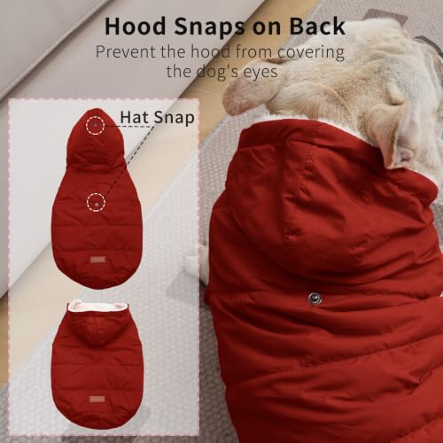 Vecomfy Warm Dog Coats with Hoodie,Winter Dog Jackets for Small Dogs - color: Red, size: Medium