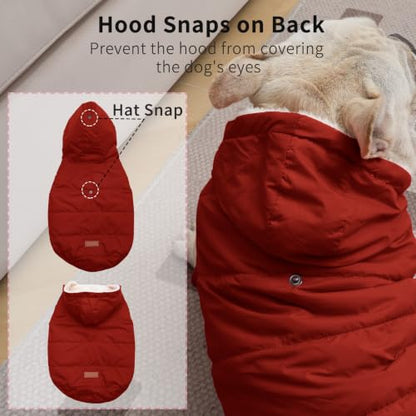 Vecomfy Warm Dog Coats with Hoodie,Winter Dog Jackets for Small Dogs - color: Red, size: Medium