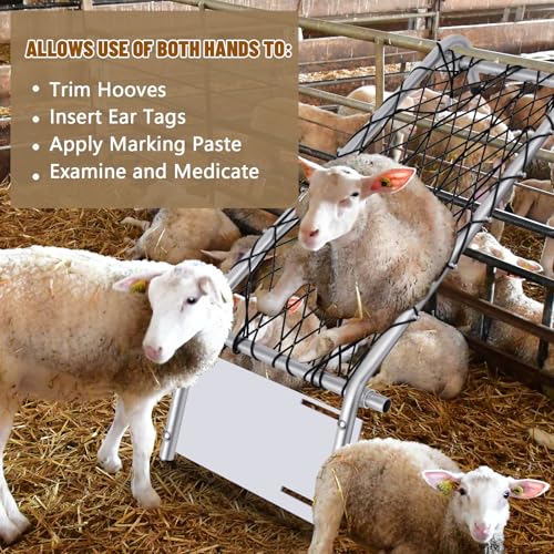 Wonderjune Deck Chair for Sheep Metal Sheep Chair Hoof Trimming Heavy Duty Goat Stand with Webbing Adjustable Width 10-16 Inch Livestock Handling Supplies for Hoof Trimming Lamb, 55.1" x 20.9"
