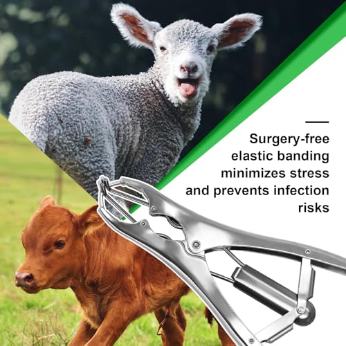 Goat Banding Kit, Stainless Steel Expander Tool 200pcs 3-Size Rubber Bands - color: silver, size: Small
