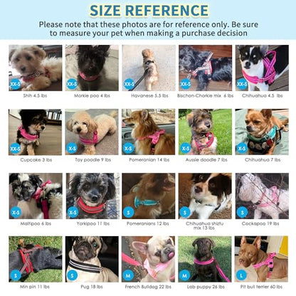 SlowTon No Pull Small Dog Harness and Leash Set with Front Clip | Soft Padded, Neck & Chest Adjustable, Lightweight, Anti-Twist, Puppy Vest Harness Pet Lead Combo for Small Medium Dog, TL S - color: Teal, size: Small