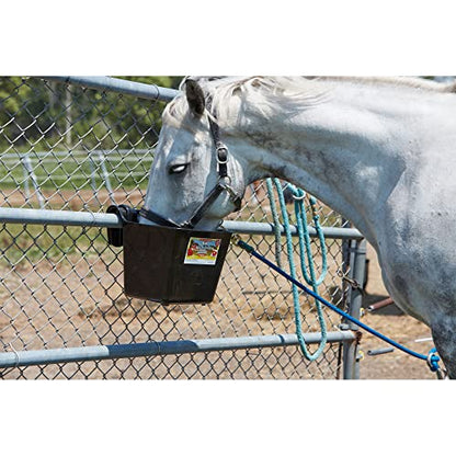 Little Giant® Plastic Hook Over Feeder | Mountable Livestock & Pet Feed Bucket | Horse Feed Bucket | Made in USA | 15 Quarts | Black - color: Black, size: 15 Quart