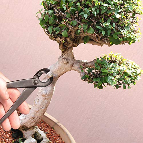 BambooMN Bonsai 8" Concave Cutter Tool - 3 Pieces - color: 8" Concave Cutter, size: 3