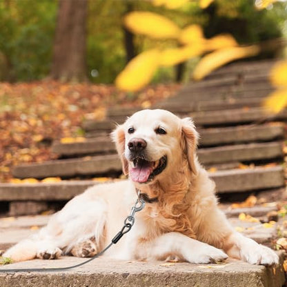 BV Dog Tie Out Cable 25 Feet - Heavy Duty Dog Lead Up to 250 Pounds - Reflective & Rust-Free with Quick Release Swivel Clips & 360° Rotating Clasp - Tangle-Free Dogs Runner for Yard (Grey, Pair) - color: 250lbs/ 25ft/ Grey, style: Pair
