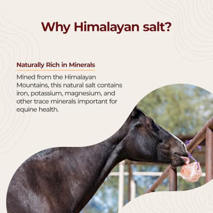 Horsemen's Pride Himalayan Salt Block on Rope for Horses, 4.4 Pounds, SS44