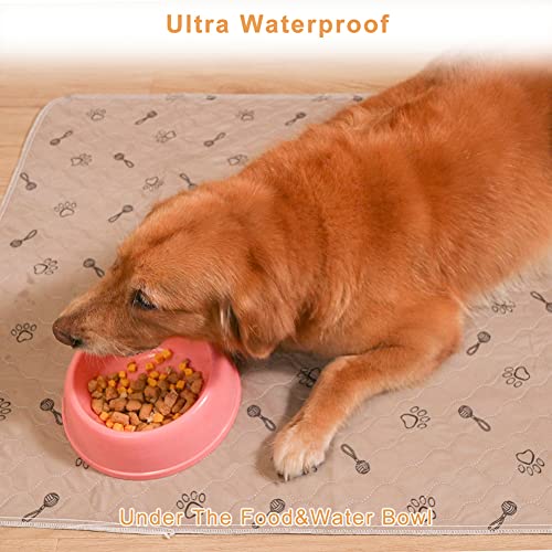 Peepeego 2Pack Pee Pads Washable 36”x48 +Free Dog Comb, Waterproof Rugs Non Slip - size: 2Pack 36x48