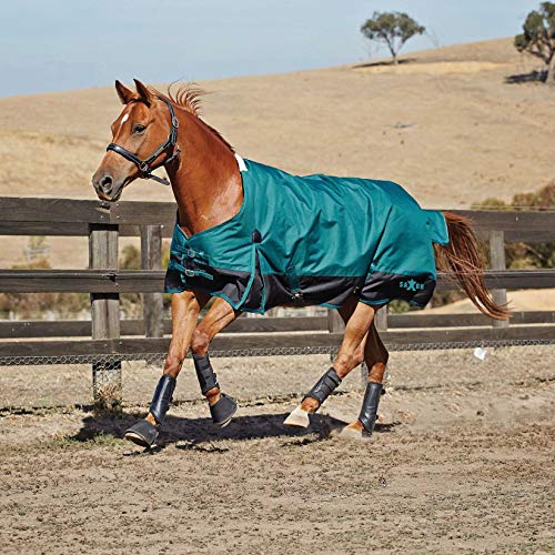 Saxon 1200D with Gusset Standard Neck Lite II Horse Blanket, Hunter/Black, 69" - color: Hunter/Black, size: 69"