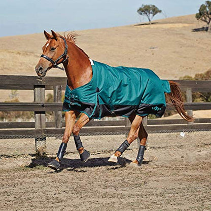 Saxon 1200D with Gusset Standard Neck Lite II Horse Blanket, Hunter/Black, 69" - color: Hunter/Black, size: 69"