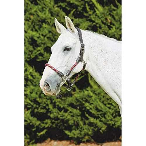 Kincade Leather Rope Halter, Hunter Green/Brown, Cob - color: Hunter Green/Brown, size: Cob