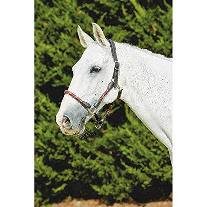 Kincade Leather Rope Halter, Navy/Brown, Cob - color: Navy/Brown, size: Cob