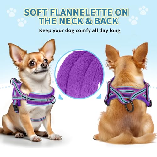 SlowTon No Pull Small Dog Harness and Leash Set with Front Clip | Soft Padded, Neck & Chest Adjustable, Lightweight, Anti-Twist, Puppy Vest Harness Pet Lead Combo for Small Medium Dog, PU XXS - color: Purple, size: XX-Small