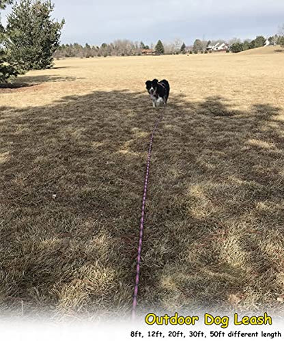 30FT Dog Tie-Out Rope + Bungee Dog Leash Extension