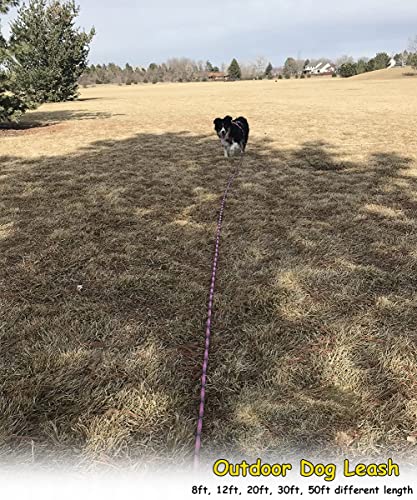 50FT Dog Tie-Out Rope + Bungee Dog Leash Extension