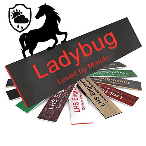Horse Stall Name Plate, 2x6 Personalized Stall Signs, UV Protected, All Weather Adhesive, Hanging, Mounting or Other, Plastic with Red Letters - Made in USA - B19 - color: B19 - Black/Red, size: 2in x 6in (5.1cm x 15.2cm)
