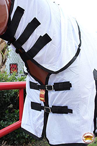 HILASON 66 in Horse Fly Sheet White Black Piping UV Mesh - color: White With Black Piping, size: 66 In