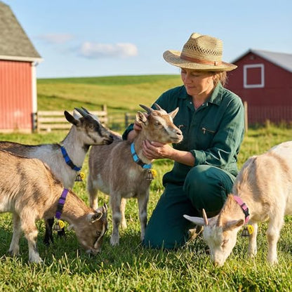20 Pack Adjustable Goat Collar with Bell and Number Tag