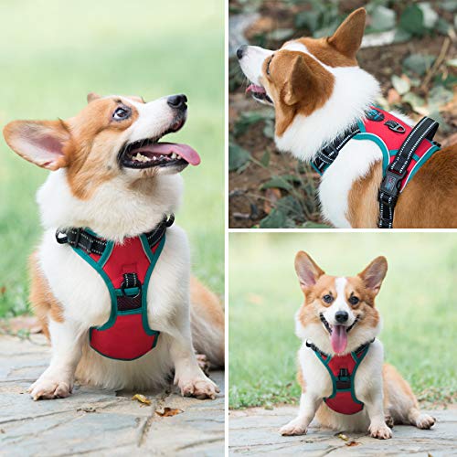 PHOEPET 2019 Upgraded No Pull Dog Harness, Reflective Adjustable Vest, with a Training Handle + 2 Metal Leash Hooks+ 3 Snap Buckles +4 Slide Buckles(S, Red) - color: Red, size: Small