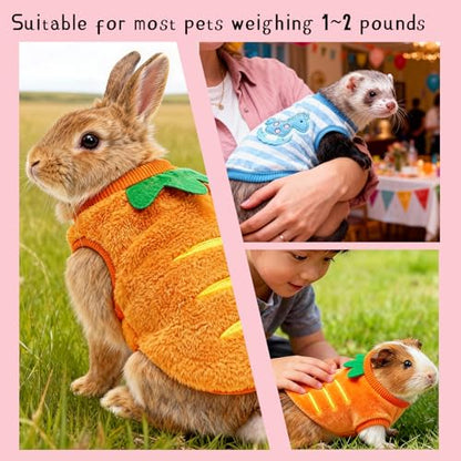 Ultra-Small Pet Winter Clothes, 4-Piece Luxuriously Soft Coral Fleece Set | XXS Size for Guinea Pigs, Rabbits, Ferrets, Tiny Chihuahuas (XXS: Fits pets 1-2 lbs) - size: xxs