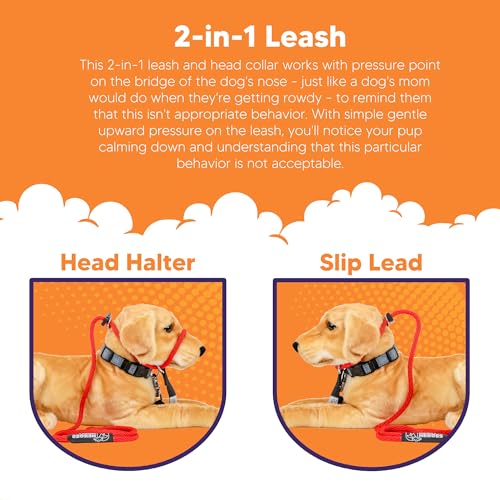 Heather's Heroes The Sidekick No-Pull Leash, Red, Mini - color: Red, size: Mini (1/4")