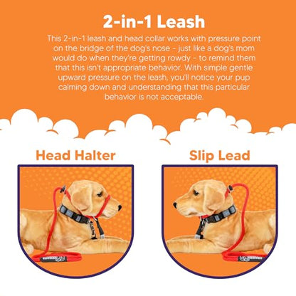 Heather's Heroes The Sidekick No-Pull Leash, Red, Mini - color: Red, size: Mini (1/4")