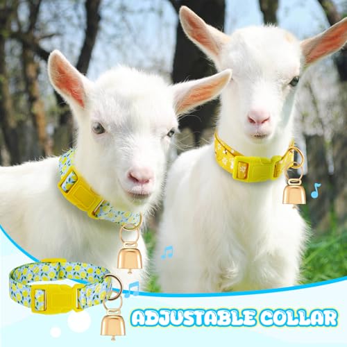 2 Pack Goat Collars with Bells, Lemon Bee Farmhouse Pattern for Pygmy Goats - style: Lemon, Bee