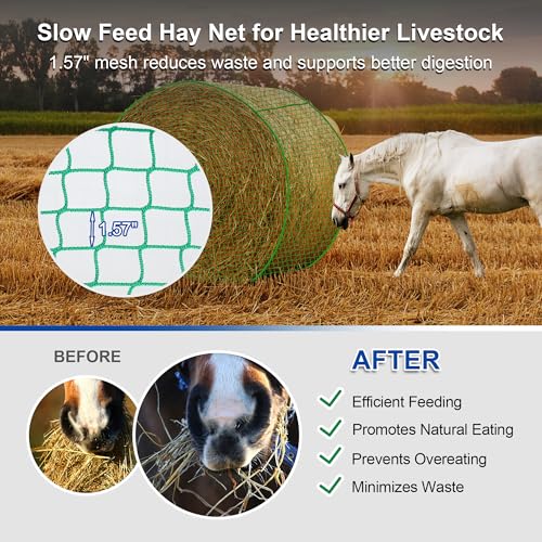 Large 6x6 FT Round Bale Hay Net- Knotless Slow Feeder Net for Horses - style: 6*6Ft(Green)