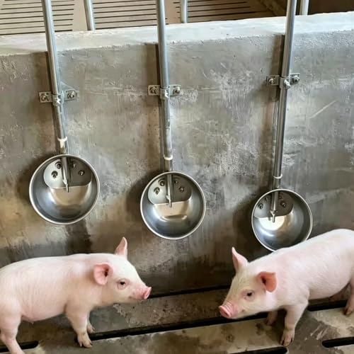 Pig Waterer Automatic Hog Waterer with 1/2" NPT(F) Thread | Heavy Duty Stainless Steel Livestock Water Trough for Swine Hog Pigs Sows, 8.3 Inches in Diameter, Large