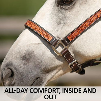Schneiders McKenzie Padded Leather Ranch Halter for Horses | Premium Argentine Leather with Hand-Tooled Basketweave & Floral Design | Western Style & Comfort Fit