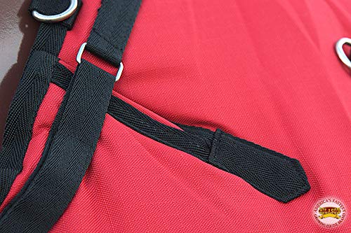 Winter Horse Blanket 600D Waterproof - Hilason Turnout Sheet - size: 78 In
