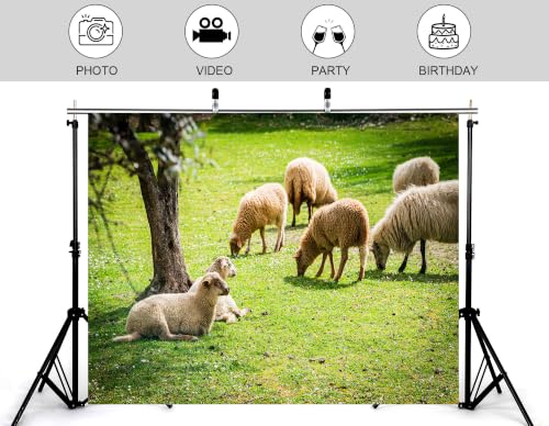 16x10ft Fabric Grazing Wool Sheep Backdrop Flock Resting Under Tree Fresh Green Grass Sunny Pasture Farm Background Tapestry Country Animal Decorations Photo Booth Props - size: 16x10ft