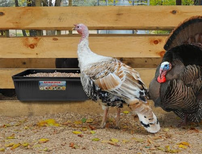 Large Feed Trough and Goat Feeder - 2 Pack Hanging Feeder with Clips, Waterer Bucket, Fence Feed Trough, Goat Supplies, 10 Quart - color: Greener