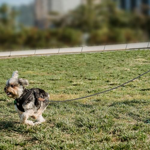 Mile High Life Dog Leash Braided Cotton Rope with Leather-Reinforced Ends - color: Dark Grey, size: 48 Inch-1/3"
