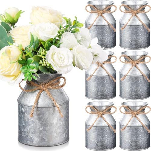 Domensi 6 Pcs Farmhouse Metal Flower Vase, Iron Color - color: Iron Color