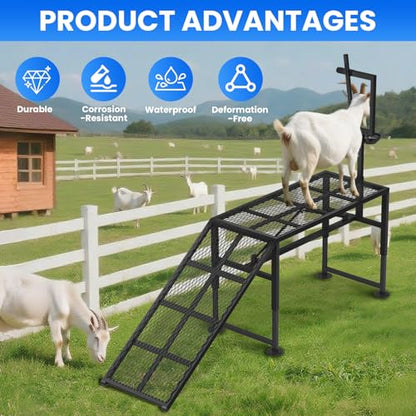 Adjustable Goat Milking Stand – Heavy Duty Steel Grooming & Trimming Platform with Ramp for Sheep & Goats – Livestock Milking Station, Height 18.5 to 28.8 Inches