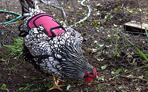 DOWN UNDER OUTDOORS Medium-Large Chicken Saddle Hen Apron Saver (Burgundy) - color: Burgundy