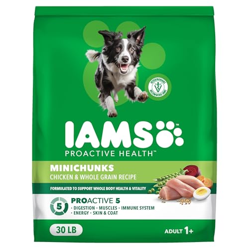 IAMS Proactive Health 성인용 Minichunks 건식 개 사료, 닭고기, 13.6kg(30파운드) - size: 30파운드 (1봉)